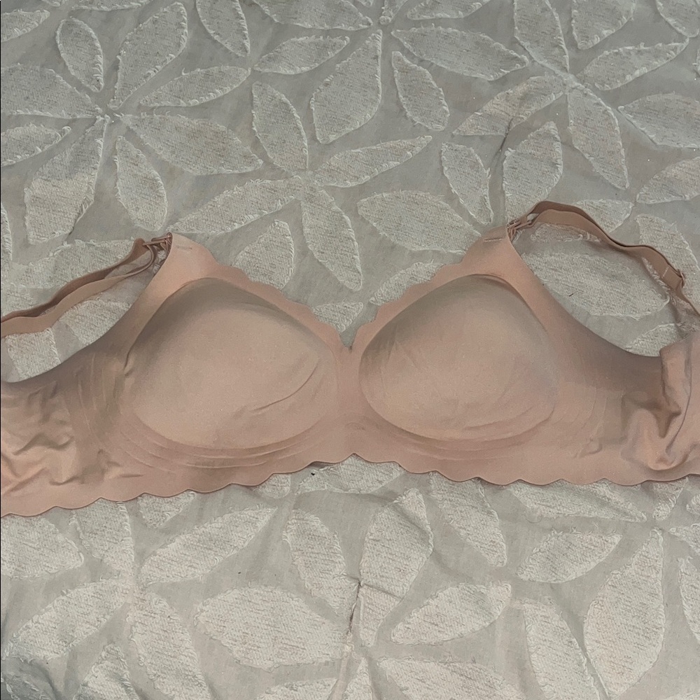 Elegant Scalloped Edge Bra in Blush